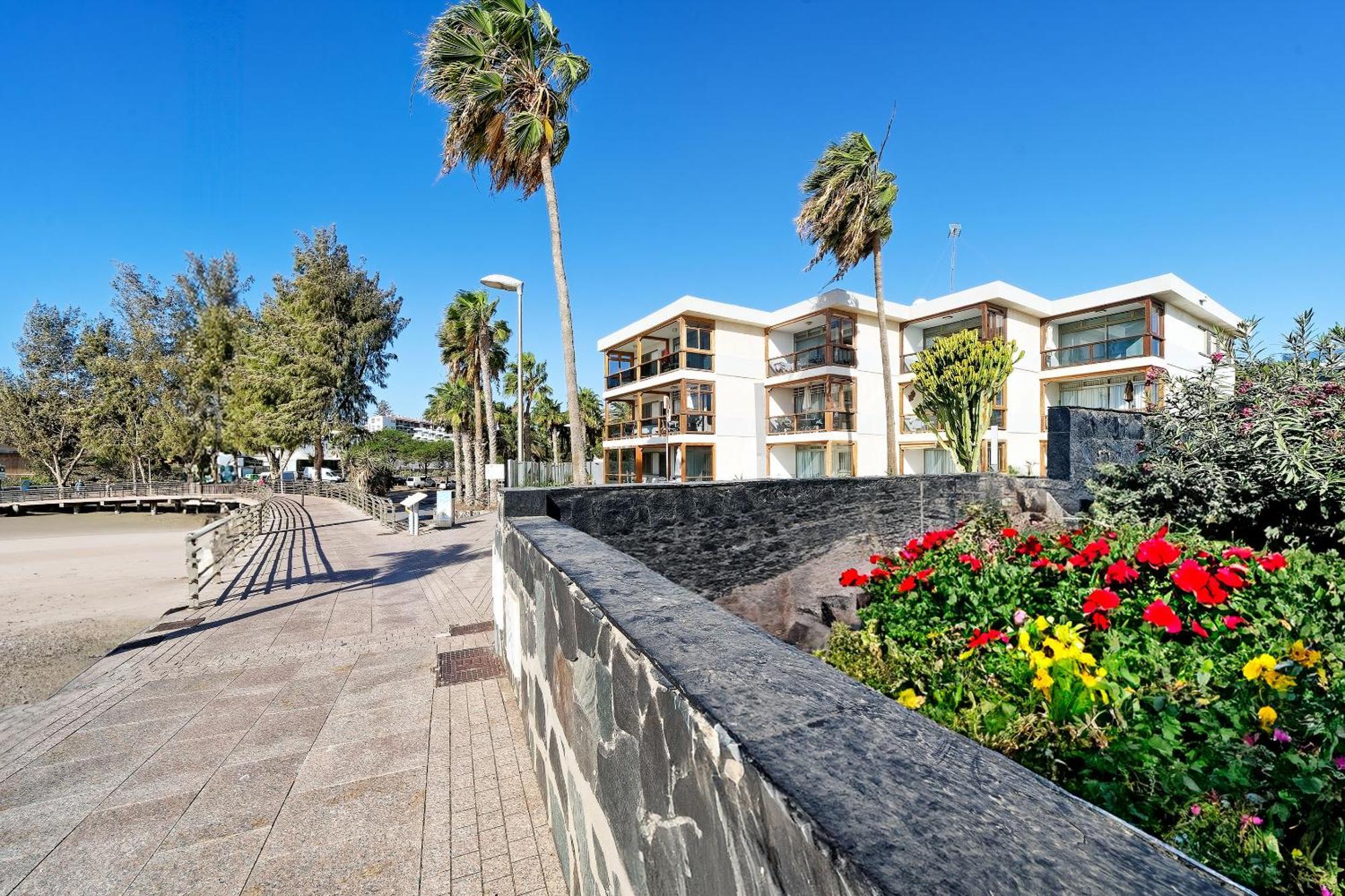 Apartamentos Los Papagayos San Agustín 外观 照片